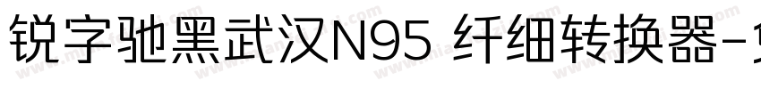 锐字驰黑武汉N95 纤细转换器字体转换